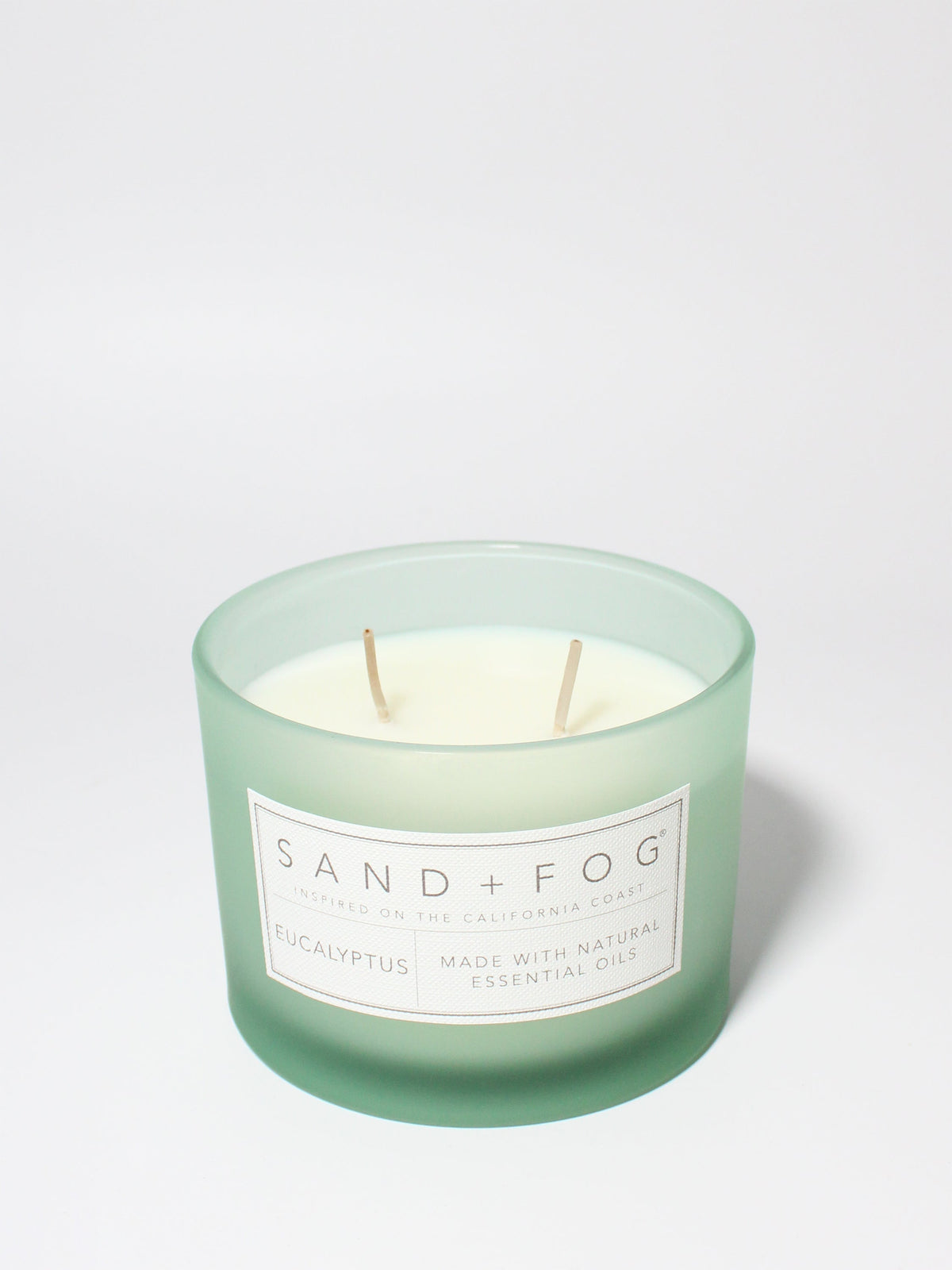 Eucalyptus Cozy 12 oz scented candle