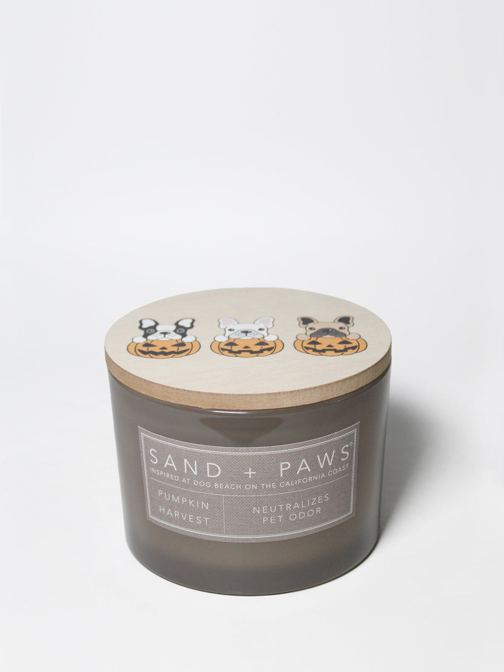 Sand + Paws Pumpkin Harvest Cozy 12 oz scented candle