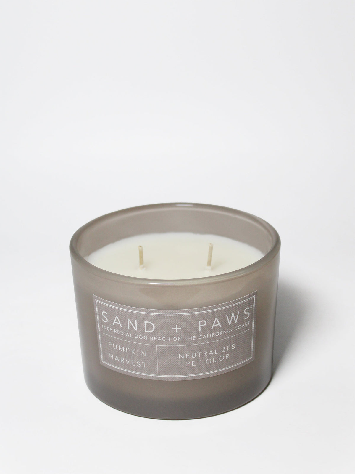 Sand + Paws Pumpkin Harvest Cozy 12 oz scented candle