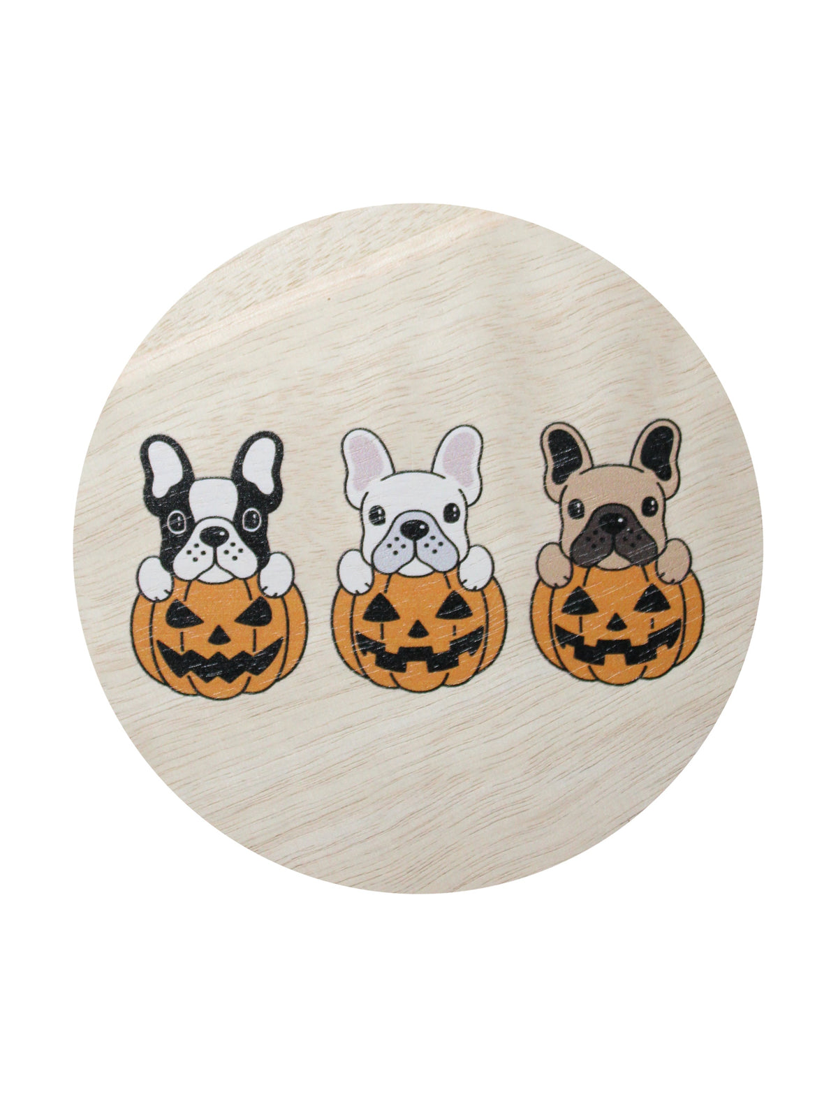 Sand + Paws Pumpkin Harvest Cozy 12 oz scented candle