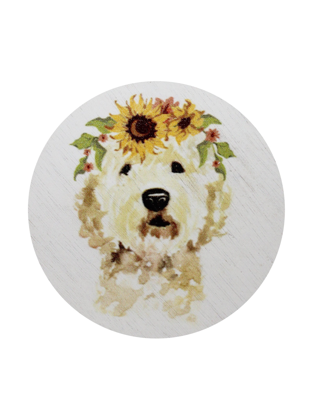 Sand + Paws Mango Tangerine Cozy 12 oz scented candle