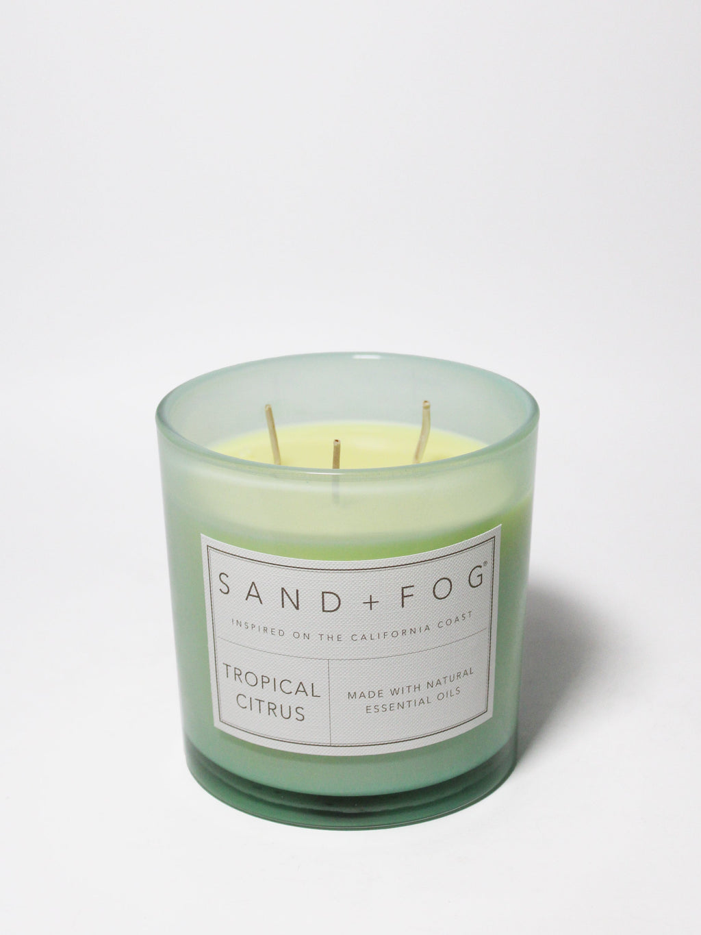 Tropical Citrus Cozy 21 oz scented candle