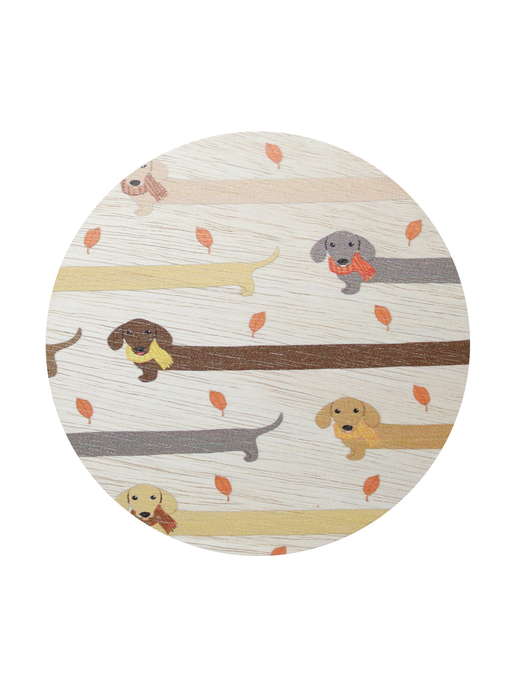 Sand + Paws Apple Cider Cozy 12 oz scented candle
