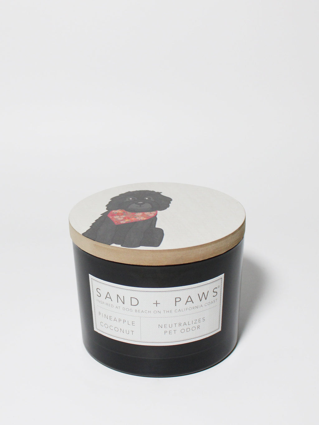 Sand + Paws Pineapple Coconut Cozy 12 oz scented candle