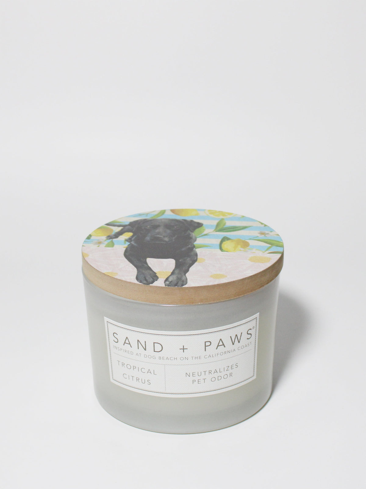 Sand + Paws Tropical Citrus Cozy 12 oz scented candle