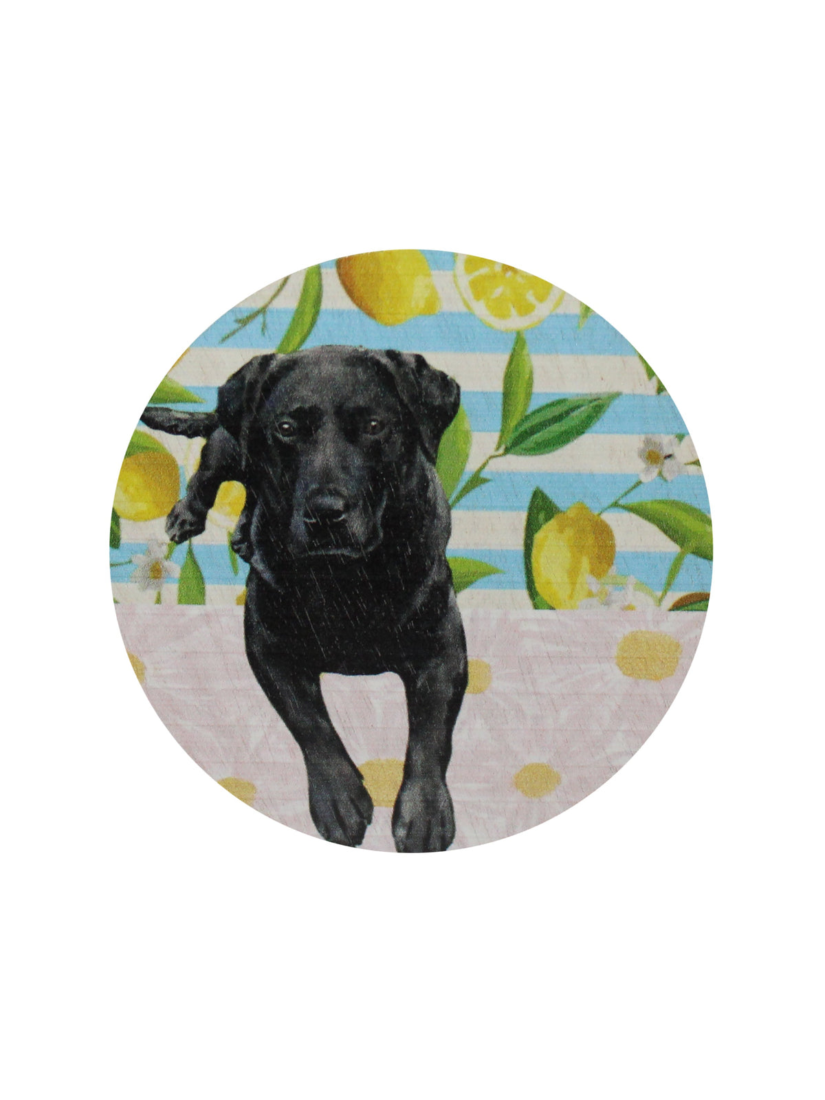 Sand + Paws Tropical Citrus Cozy 12 oz scented candle