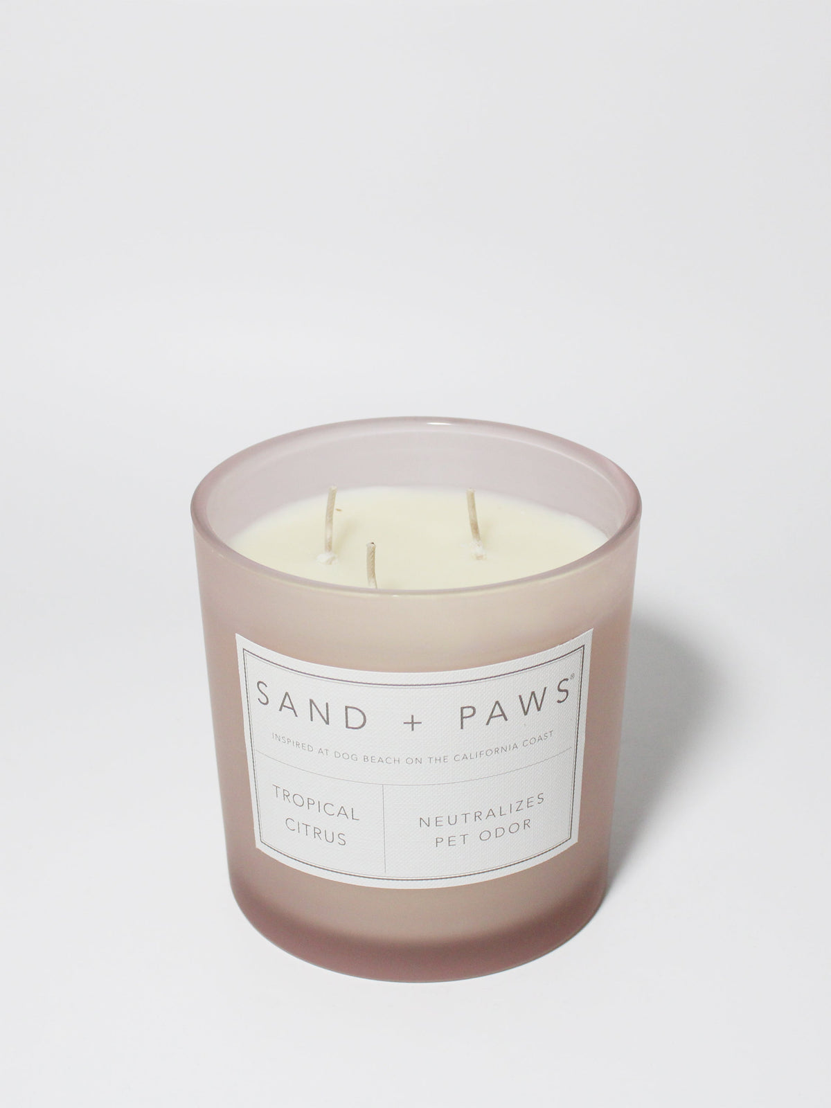 Sand + Paws Tropical Citrus Cozy 21 oz scented candle