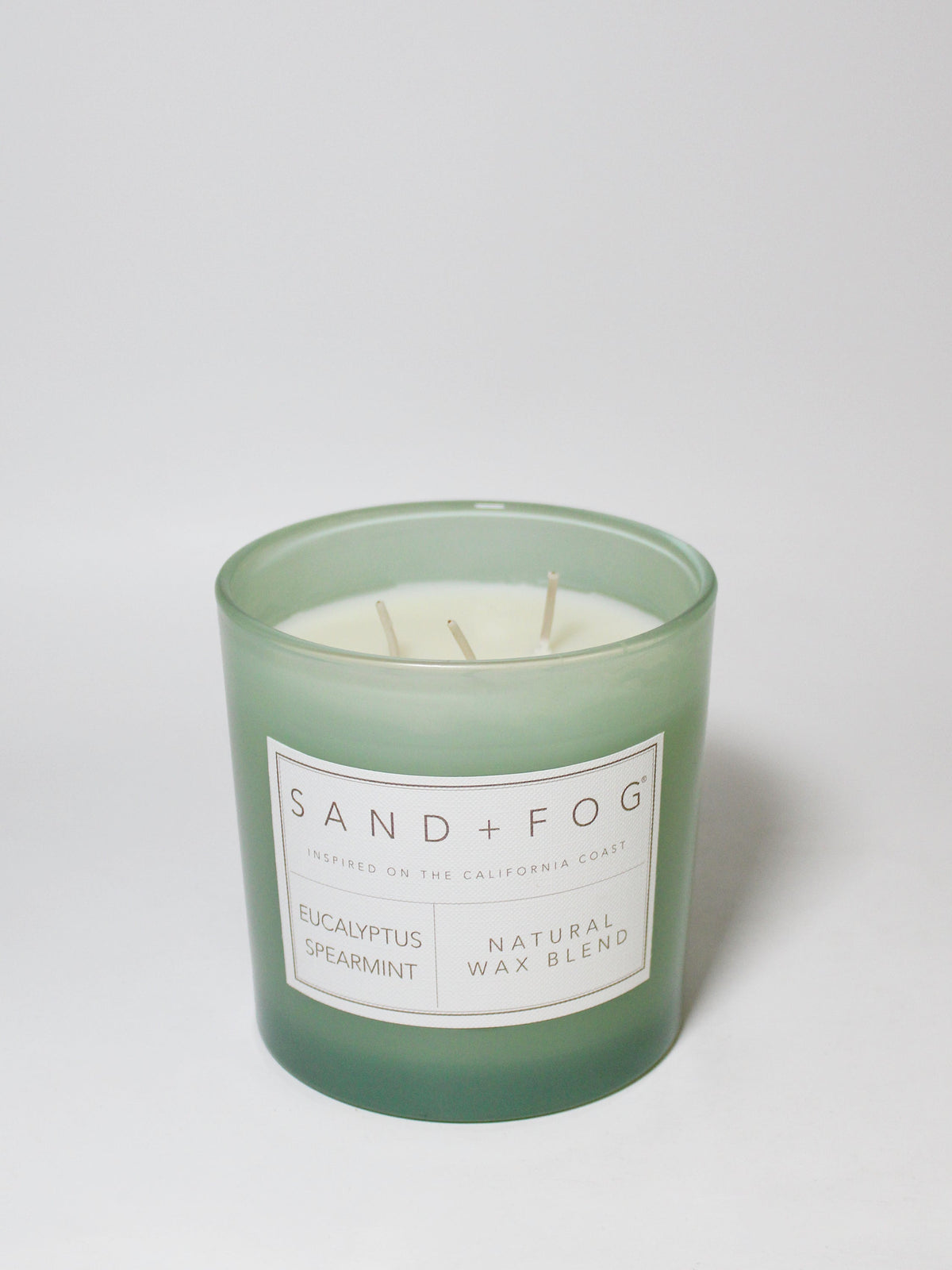 Eucalyptus Spearmint Cozy 21 oz scented candle