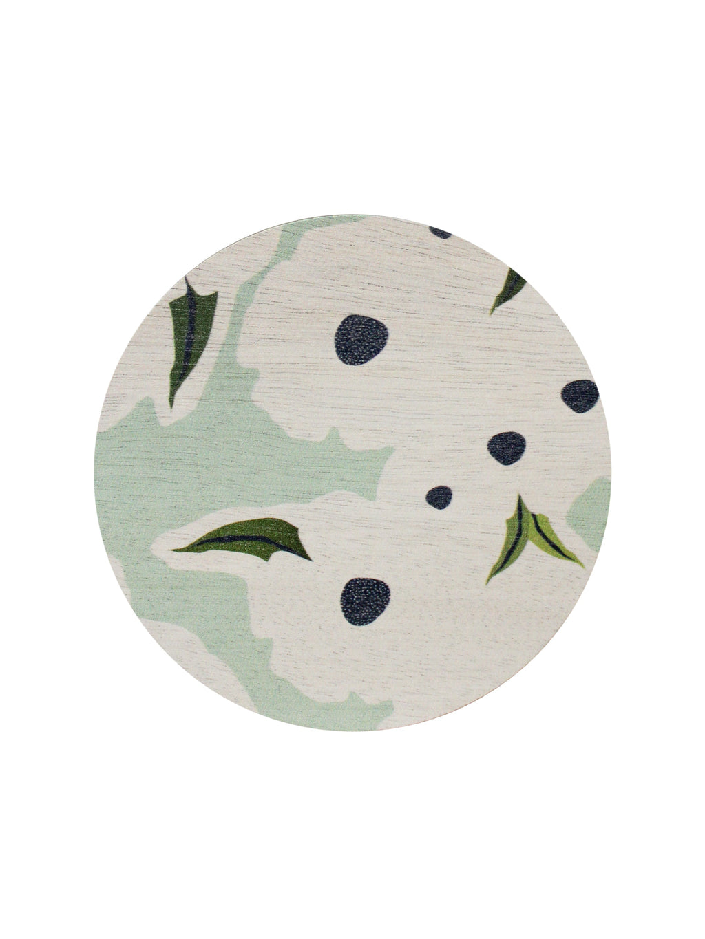 Eucalyptus Spearmint Cozy 21 oz scented candle