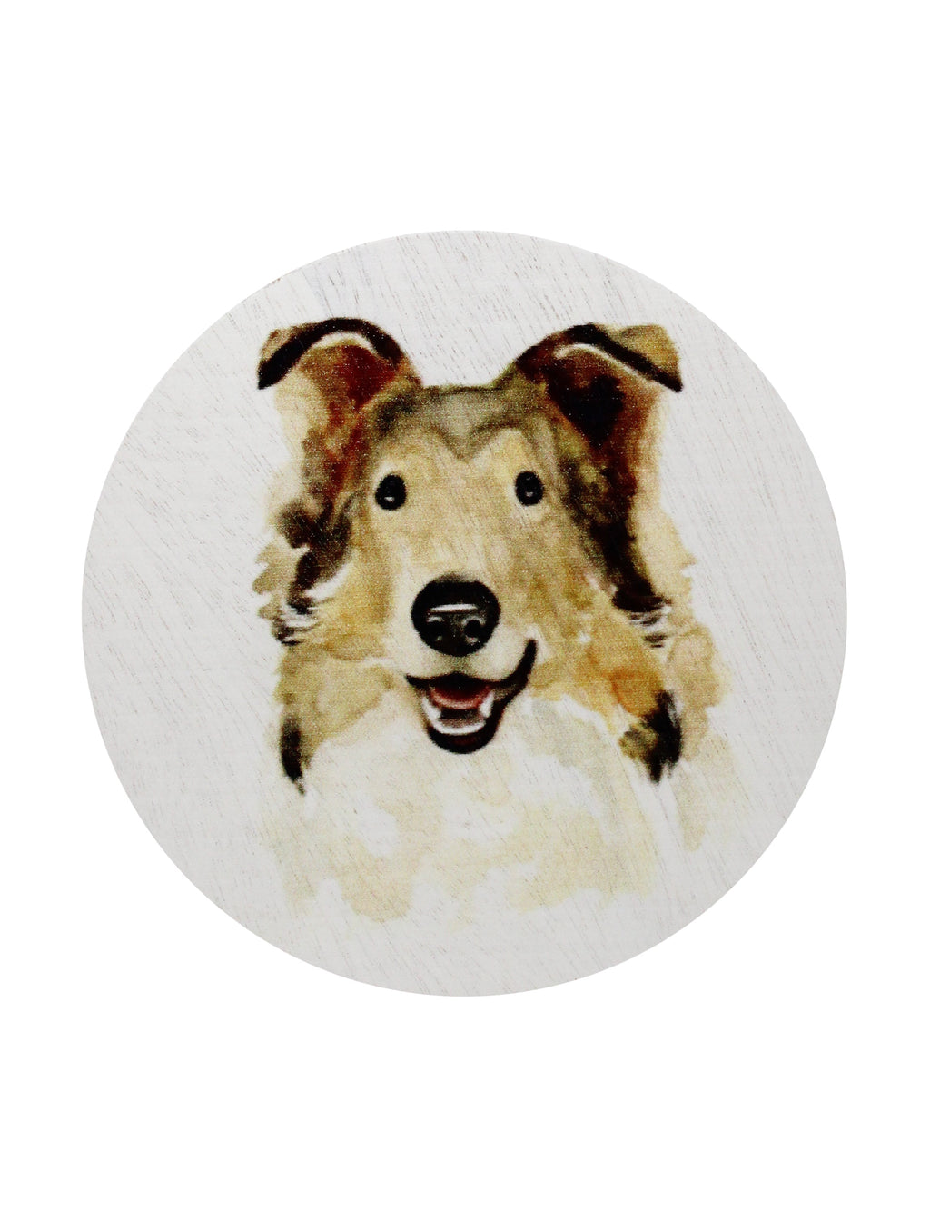 Sand + Paws Desert Rain Cozy 12 oz scented candle