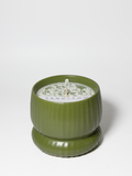 Olive & Lemon Cozy 10 oz scented candle