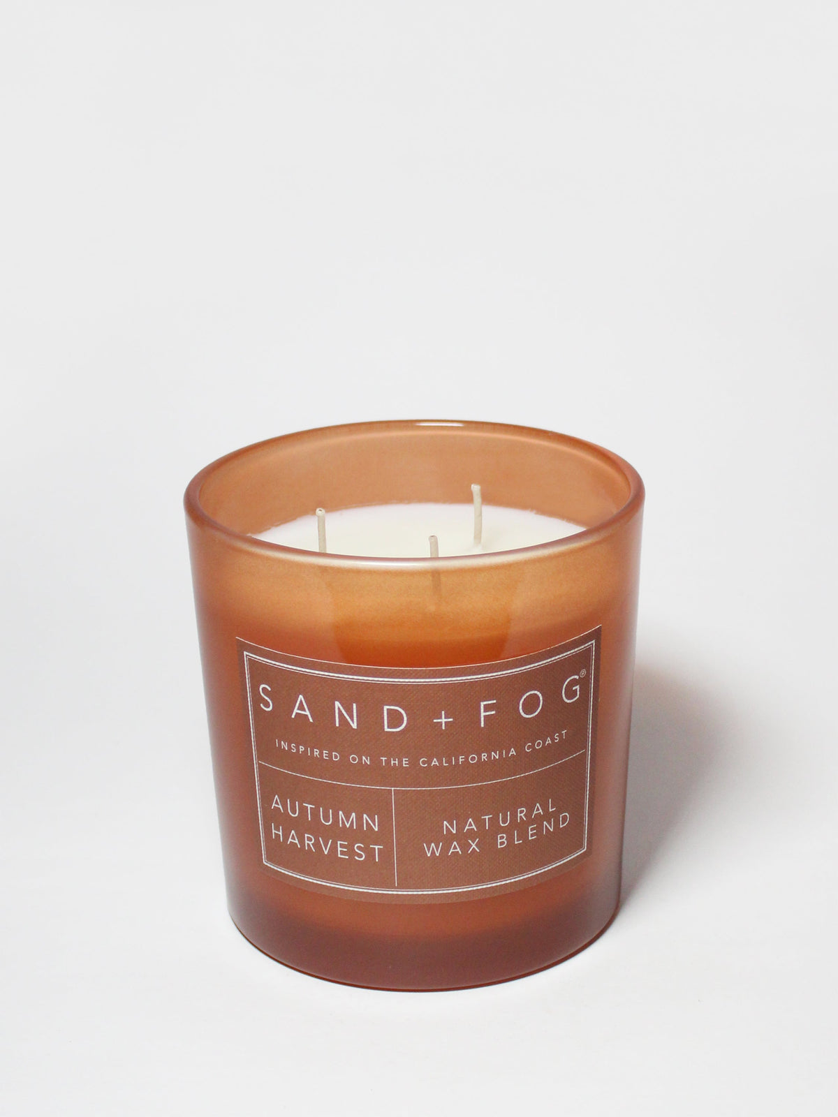 Autumn Harvest Cozy 21 oz scented candle