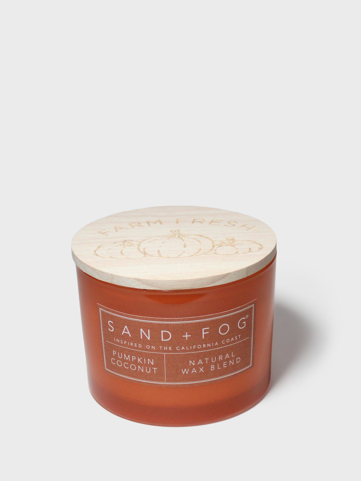 Pumpkin Coconut Cozy 12 oz scented candle