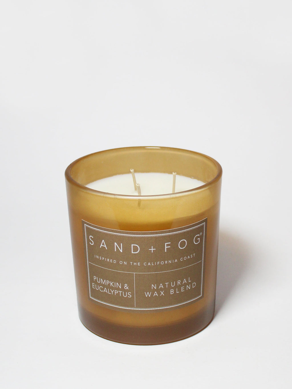 Pumpkin & Eucalyptus Cozy 21 oz scented candle