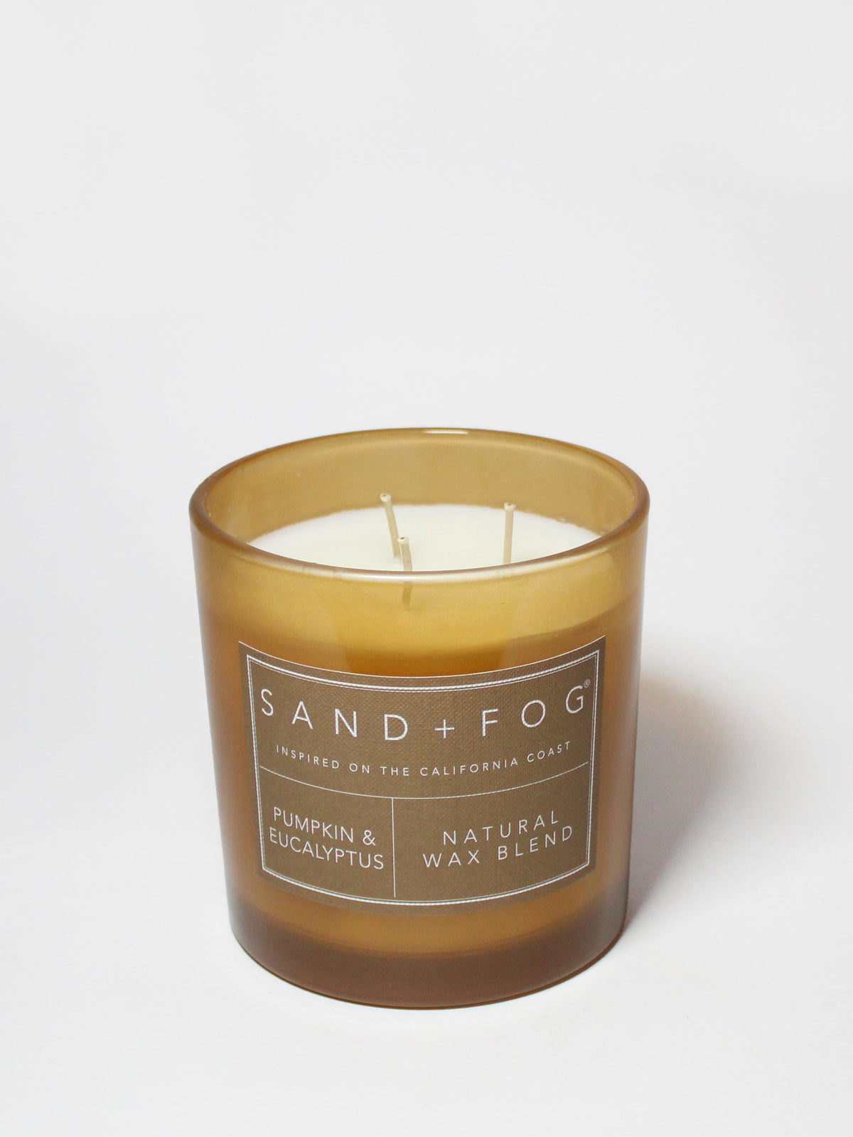 Pumpkin & Eucalyptus Cozy 21 oz scented candle