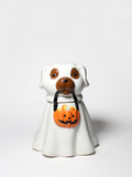 Sand + Paws Jack-o'-Lantern Cozy 11 oz scented candle