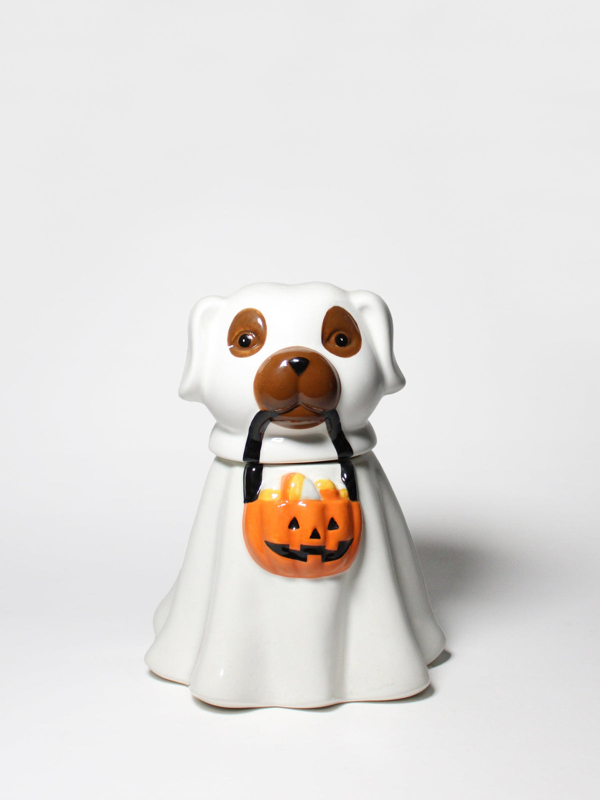 Sand + Paws Jack-o'-Lantern Cozy 11 oz scented candle