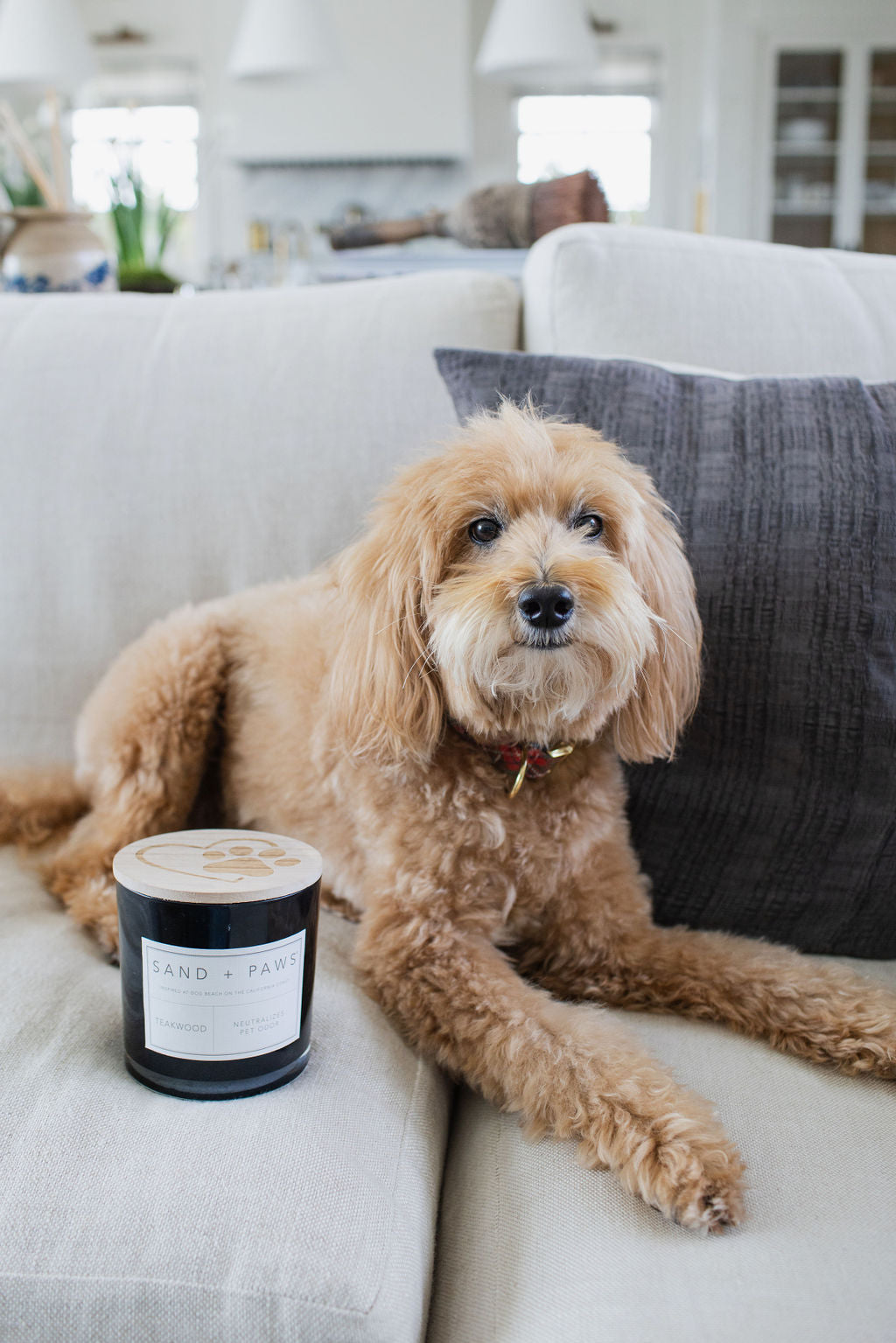 Sand + Paws Teakwood Cozy 21 oz scented candle