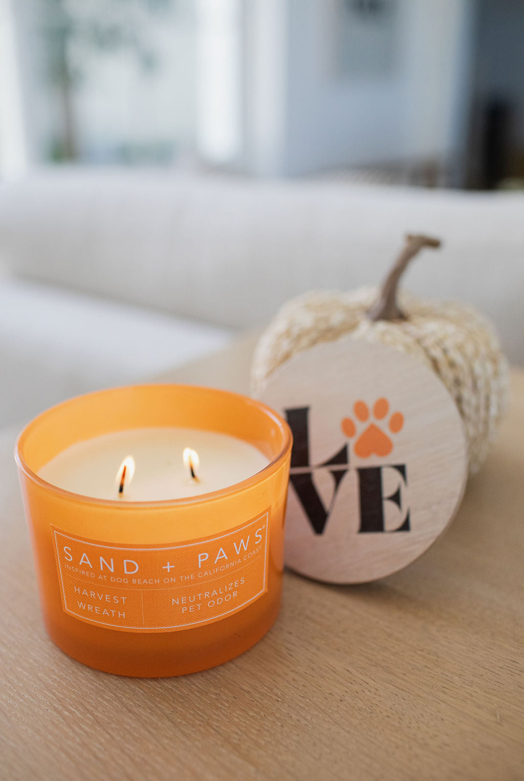 Sand + Paws Harvest Wreath Cozy 12 oz scented candle