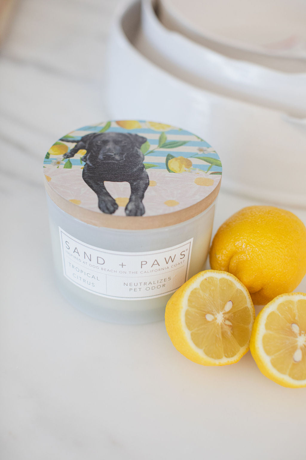 Sand + Paws Tropical Citrus Cozy 12 oz scented candle