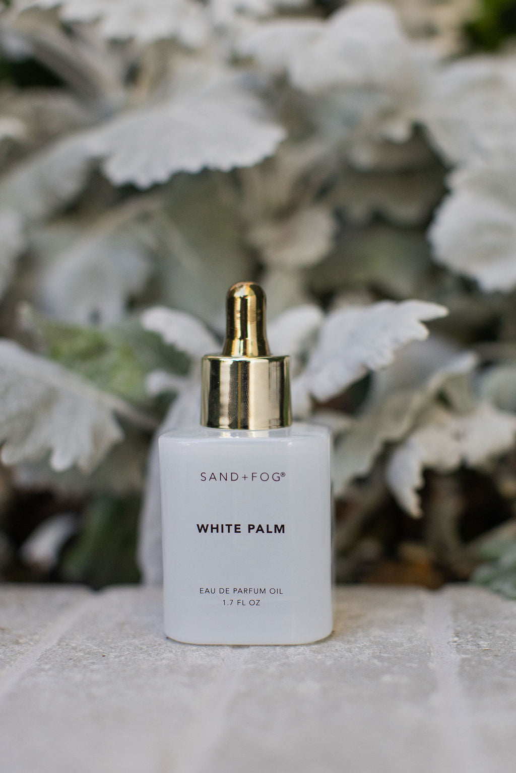 White Palm Luxurious 50 ml Perfume Oil Dropper