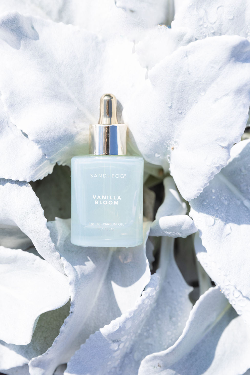 Vanilla Bloom Luxurious 50 ml Perfume Oil Dropper