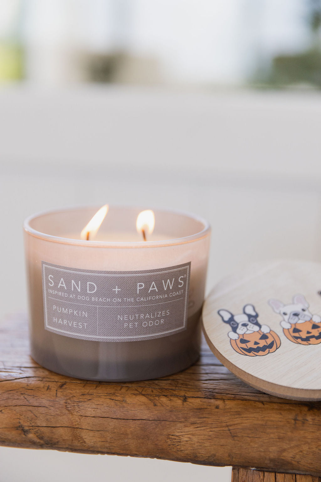 Sand + Paws Pumpkin Harvest Cozy 12 oz scented candle