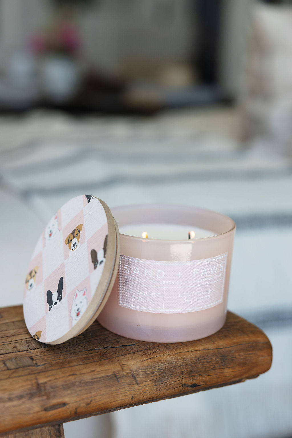 Sand + Paws Sun Washed Citrus Cozy 12 oz scented candle