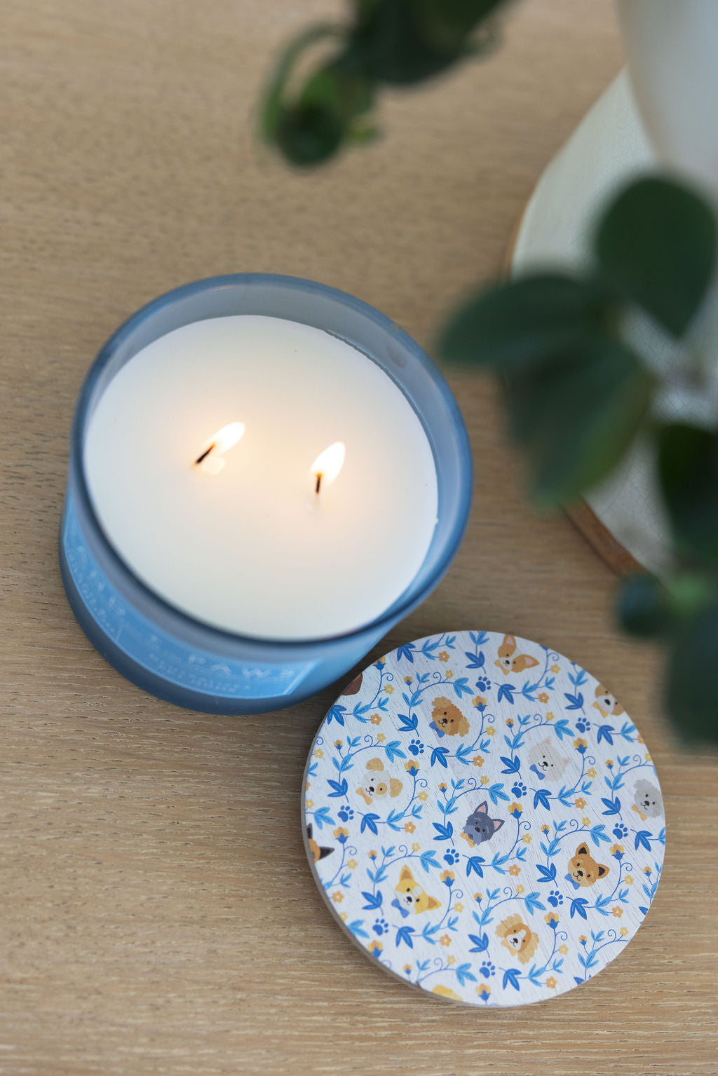 Sand + Paws Ocean & Driftwood Cozy 12 oz scented candle