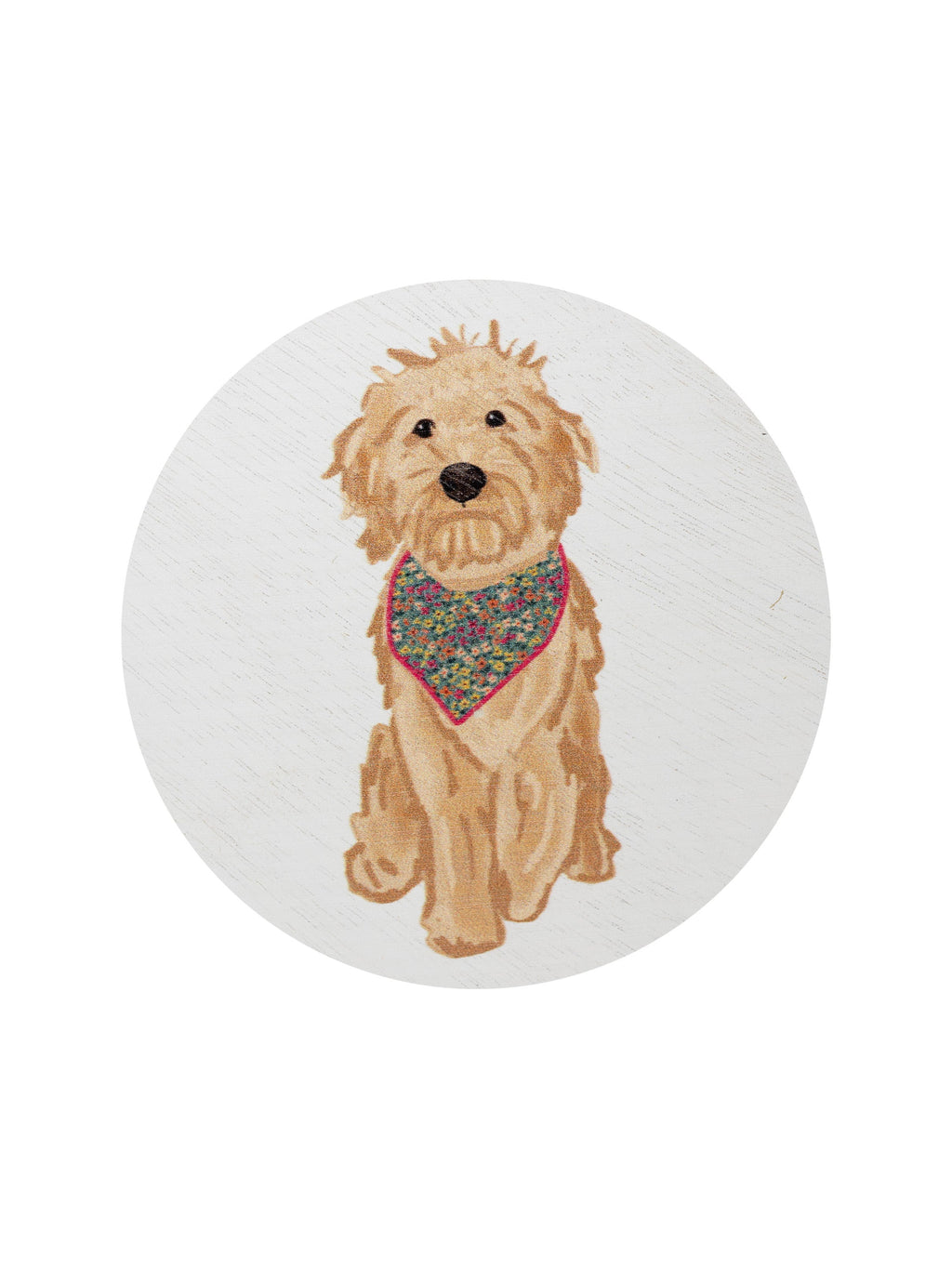Sand + Paws Laundry Day Cozy 12 oz scented candle