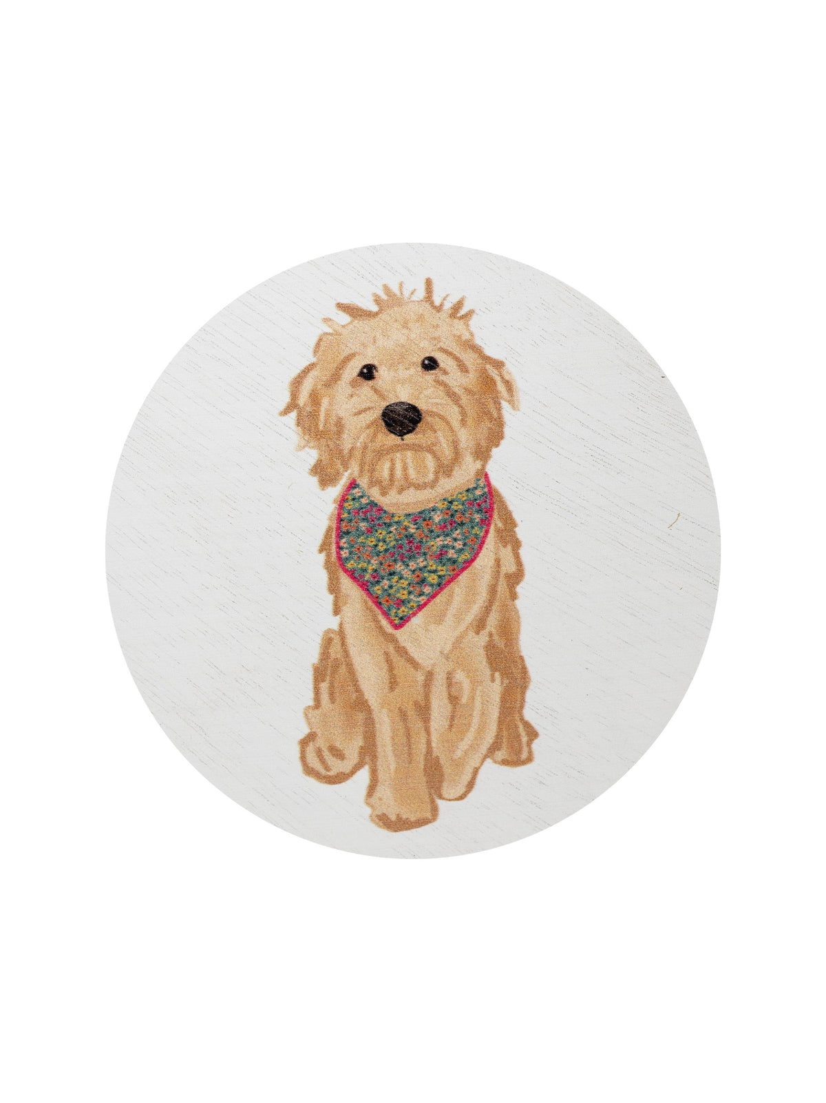Sand + Paws Laundry Day Cozy 12 oz scented candle