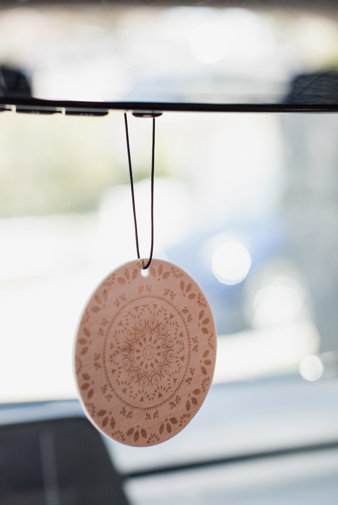 Curated Set of 8 Car Air Fresheners