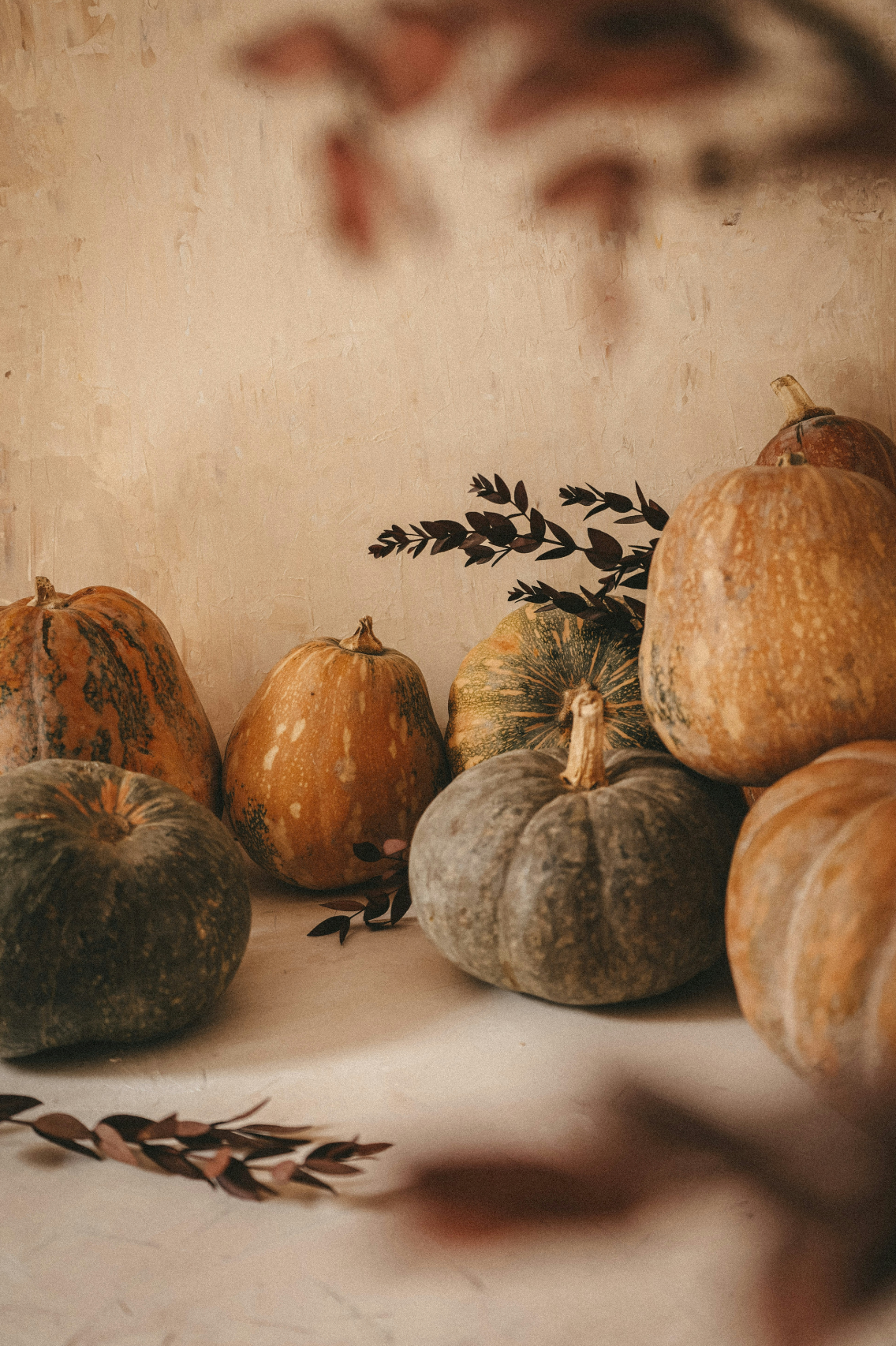 Pumpkin Cr¨¨me Luxurious 50 ml Perfume Oil Dropper