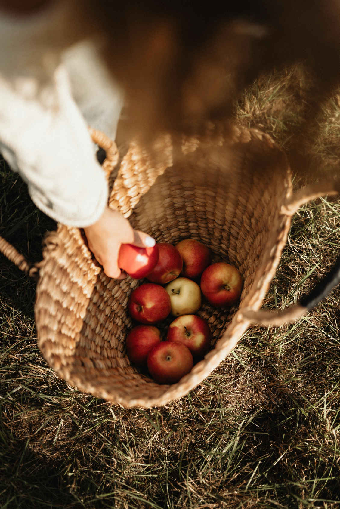 Apple Picking Cozy 12 oz scented candle