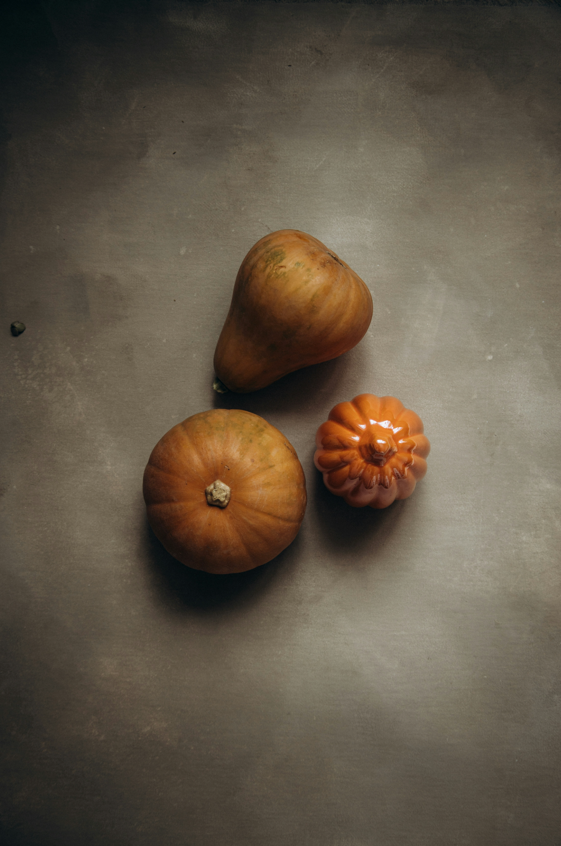 Spiced Pumpkin Cozy 12 oz scented candle