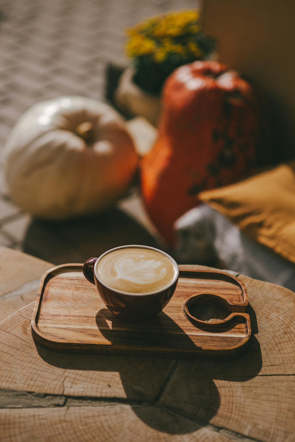 Sand + Paws Pumpkin Soy Latte Cozy 12 oz scented candle