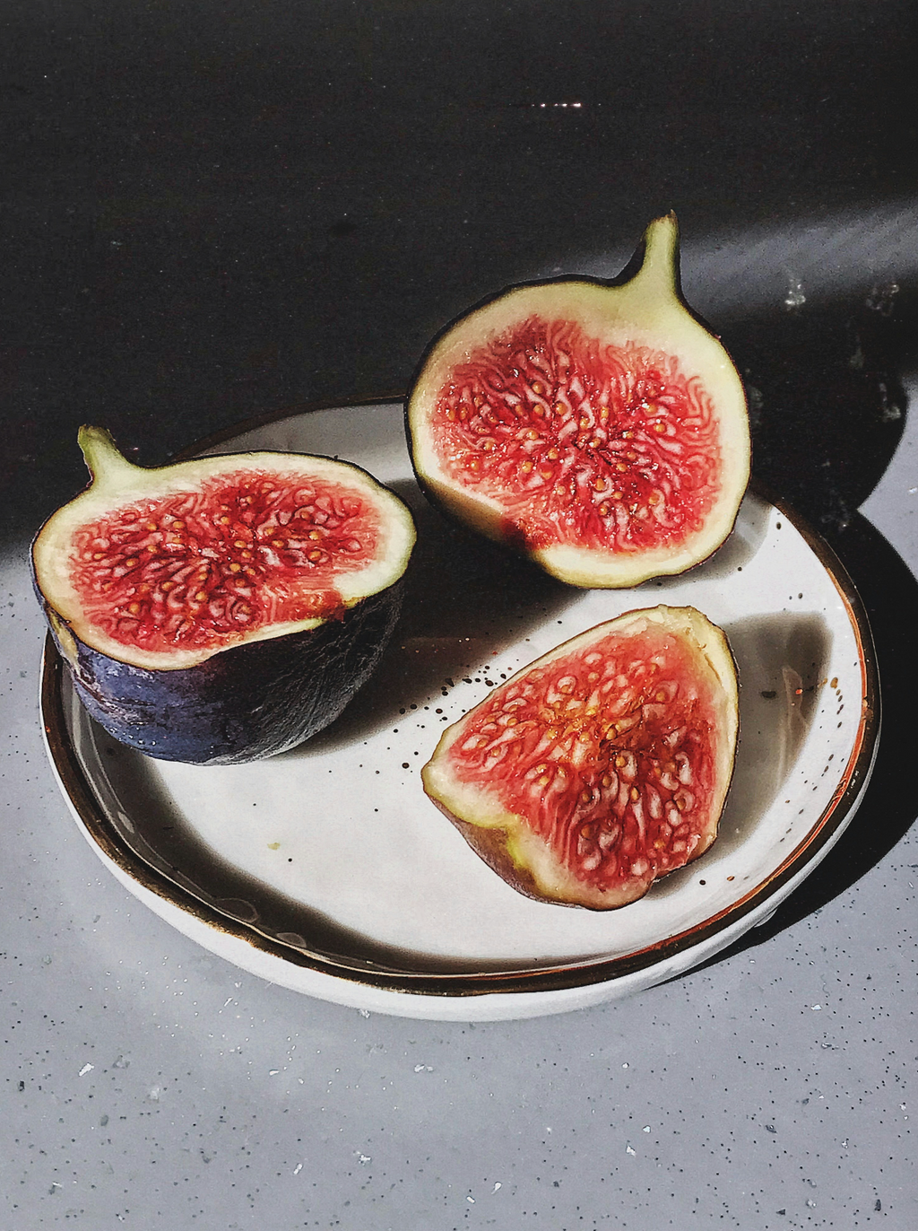 Sand + Paws Amber & Fig Cozy 12 oz scented candle