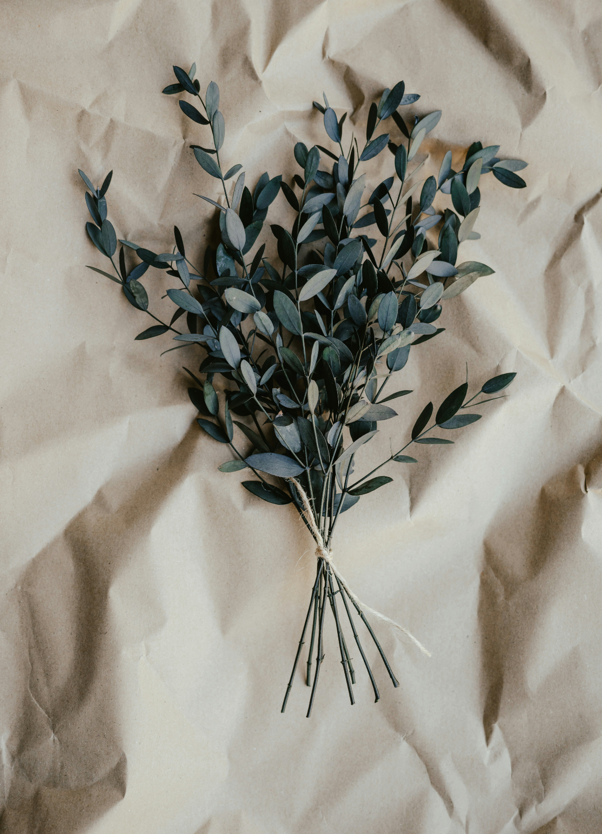 Eucalyptus Refreshing 107 ml Room Spray