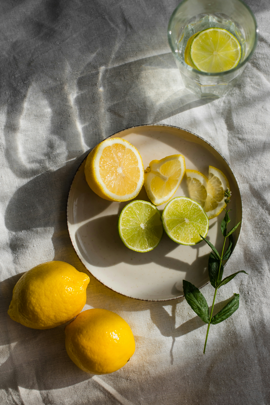 Sand + Paws Limoncello Cozy 12 oz scented candle