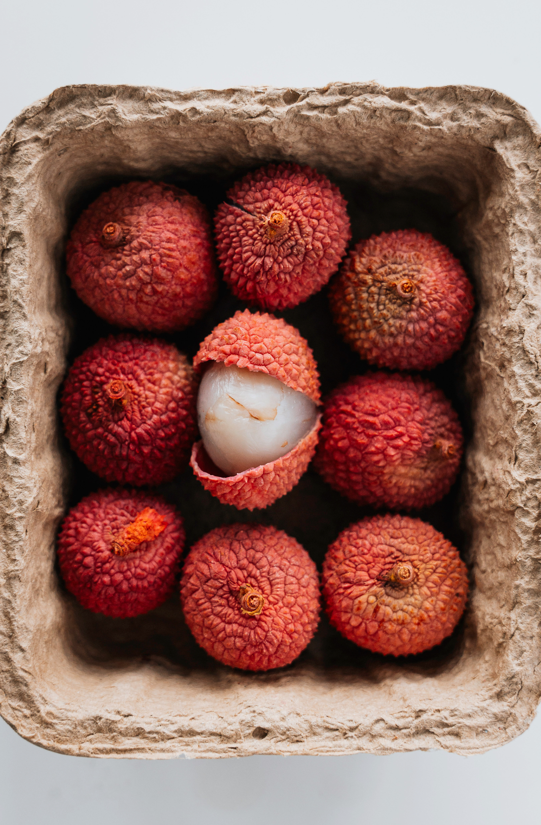 Lychee & Currant Cozy 12 oz scented candle