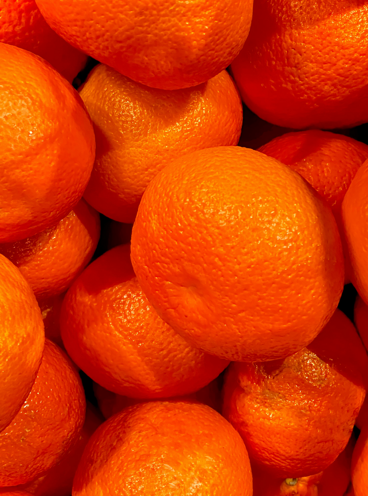 Mango & Sweet Tangerine Cozy 10 oz scented candle