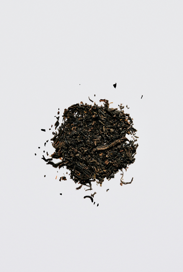 Weathered Tobacco Cozy 12 oz scented candle