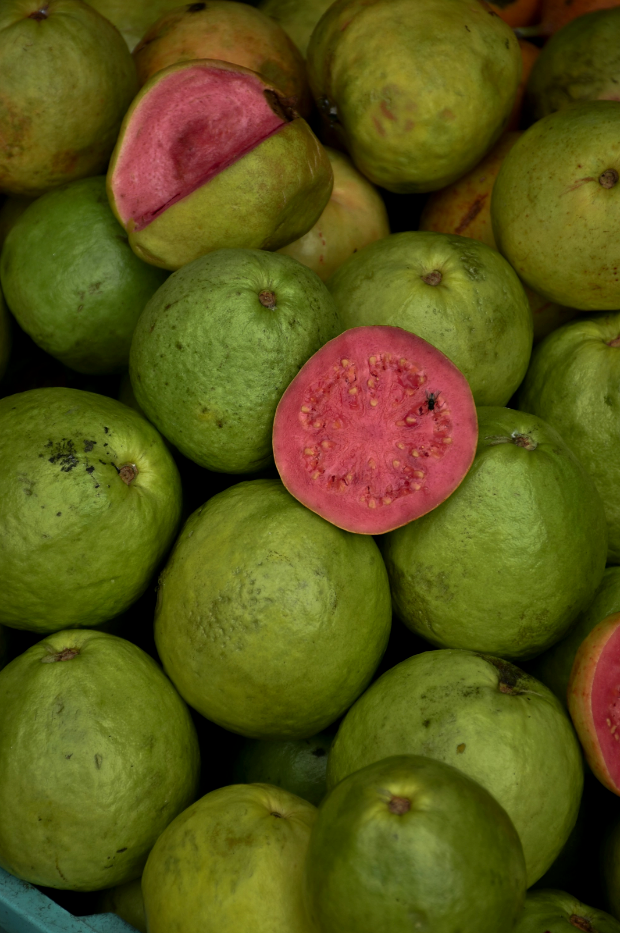 Paradise Guava Cozy 12 oz scented candle