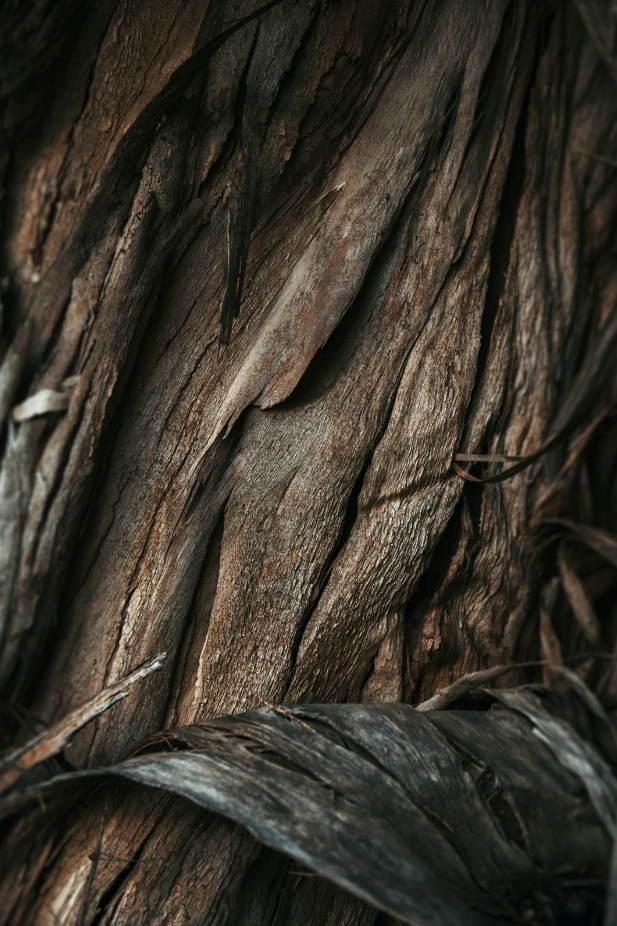 Vanilla Sandalwood Cozy 34 oz scented candle