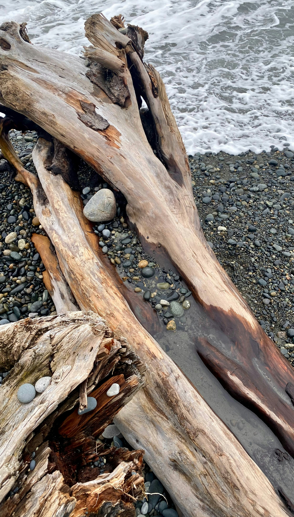 Ocean & Driftwood Cozy 10 oz scented candle