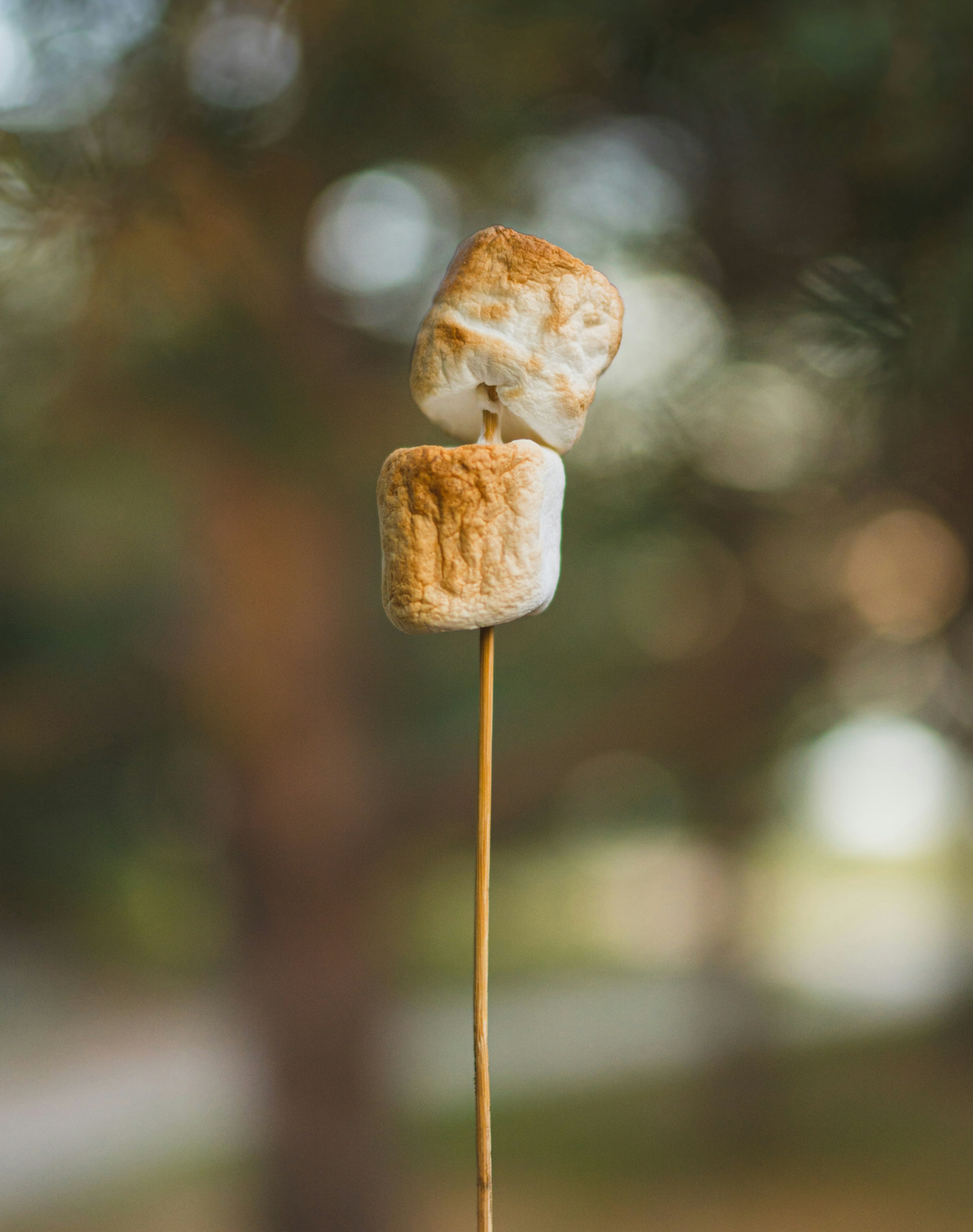 Toasted Marshmallow Luxurious 50ml Perfume Oil Dropper