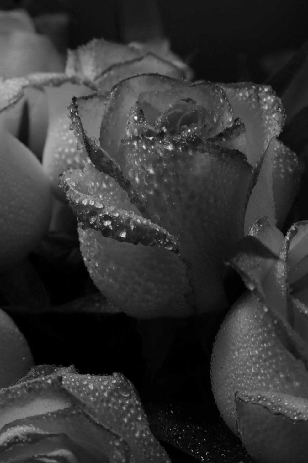 Rose Dew Luxurious 50ml Perfume Oil Dropper