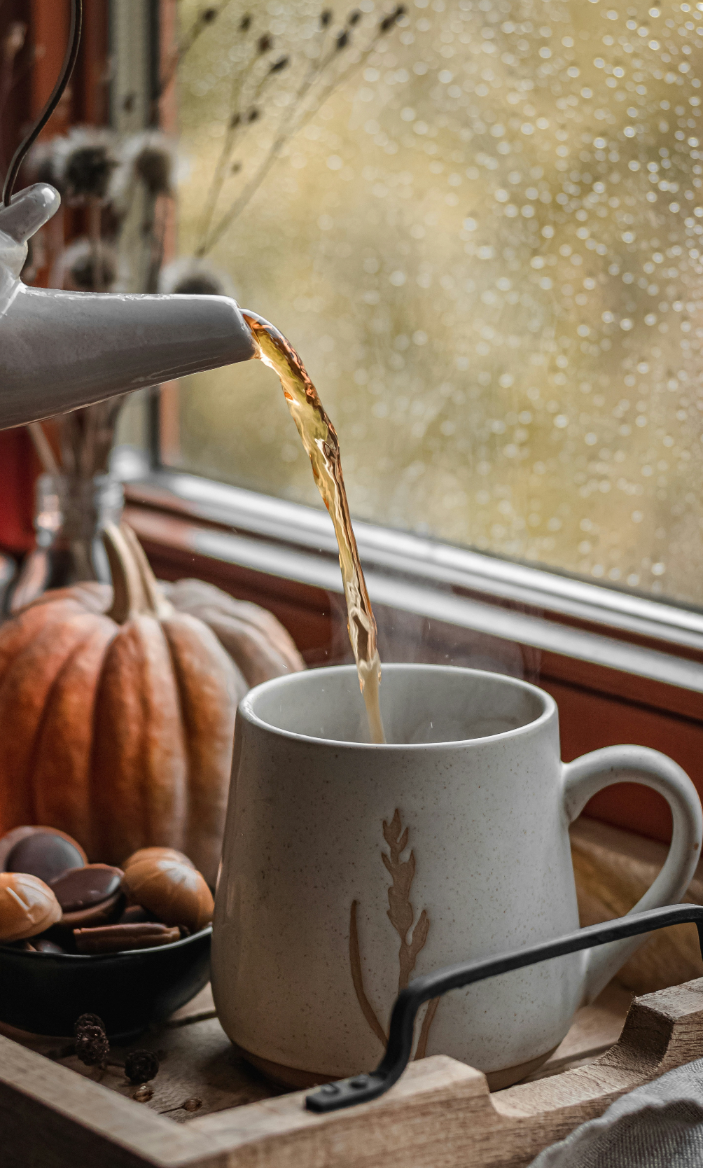 Cozy Amber Cozy 12 oz scented candle