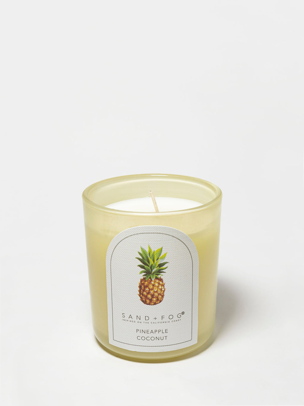 Pineapple Coconut Cozy 10 oz scented candle