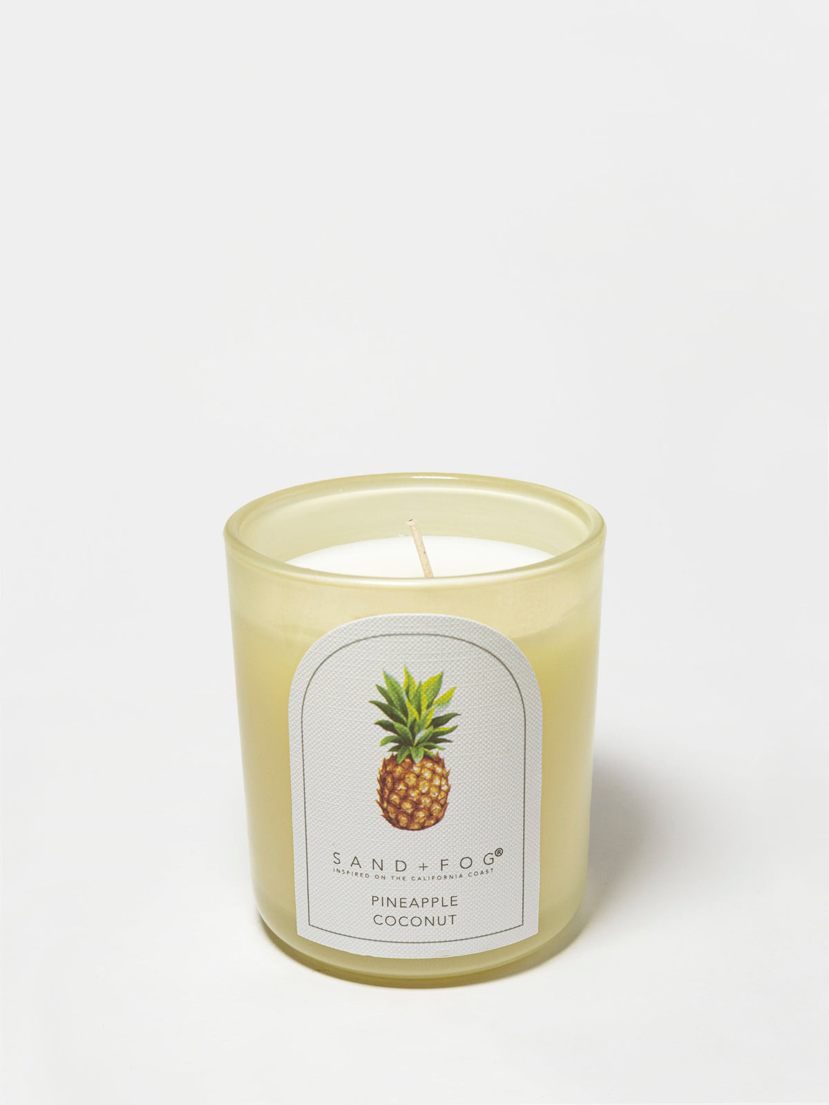 Pineapple Coconut Cozy 10 oz scented candle